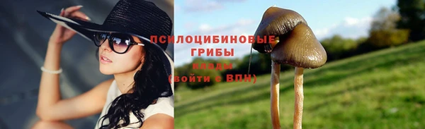 ГАЛЛЮЦИНОГЕННЫЕ ГРИБЫ Бородино