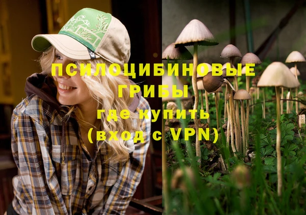 ГАЛЛЮЦИНОГЕННЫЕ ГРИБЫ Бородино