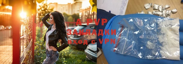 ГАЛЛЮЦИНОГЕННЫЕ ГРИБЫ Бородино