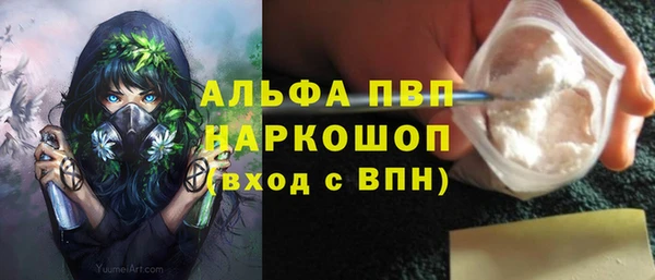 хмурый Белокуриха