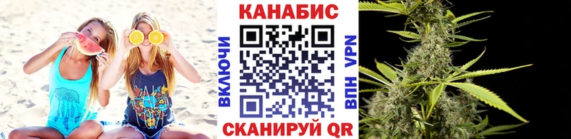 Конопля планчик Горно-Алтайск